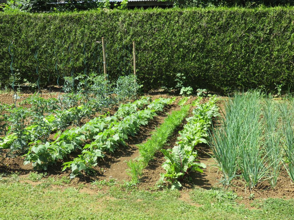 Les Quatre Saisons Bed & Breakfast Moitron-sur-Sarthe Luaran gambar